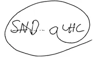19