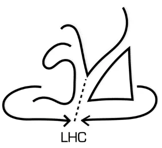 44